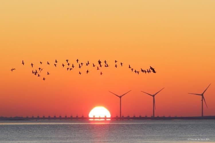 Heerenkeet 4 Pers Appartement Aan De Oosterschelde Kerkwerve Esterno foto